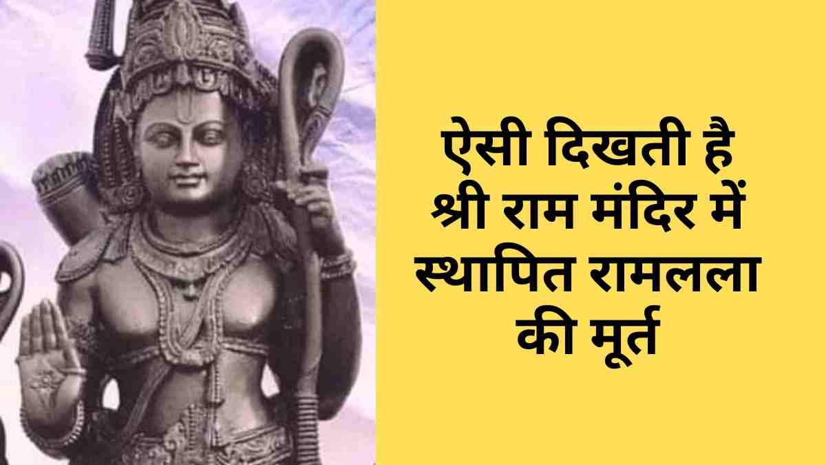 <span class="title-highlight-color">Guar Mandi Bhav :</span> मंडियों में ग्वार, सरसों, नरमा के नए भाव हुए जारी, जानिए ताजा मंडी भाव